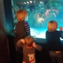 Aquarium with friends!